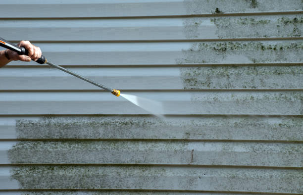 Professional Pressure Washing Services in Williamsville, IL